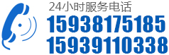 0391-6688313